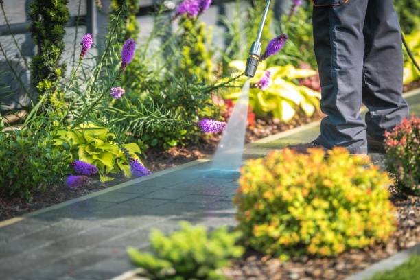 Best Restaurant Pressure Washing  in Mackinac Island, MI