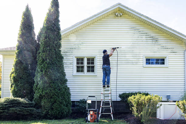 Best Fence Cleaning  in Mackinac Island, MI